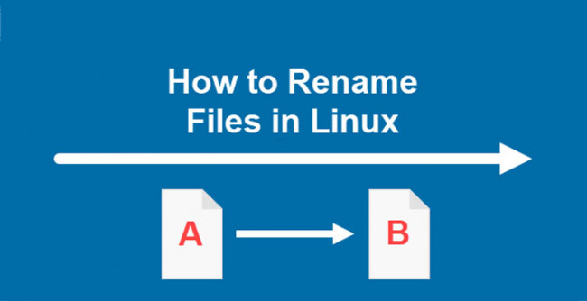 How to Rename a File in Linux: A Beginner's Guide